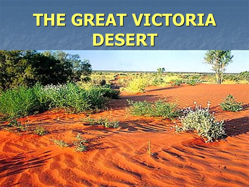 THE GREAT VICTORIA DESERT